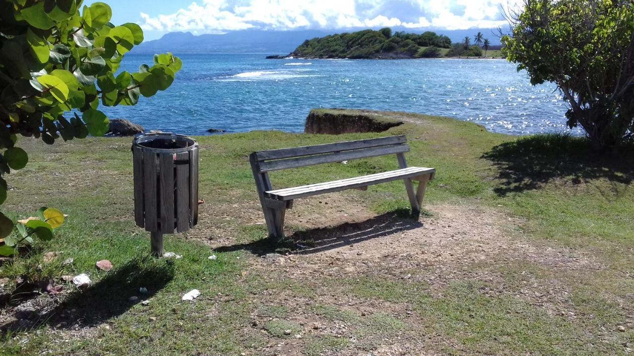 Le Studio Oncle Sam - Acces Piscine Et Plage Le Gosier  Eksteriør bilde